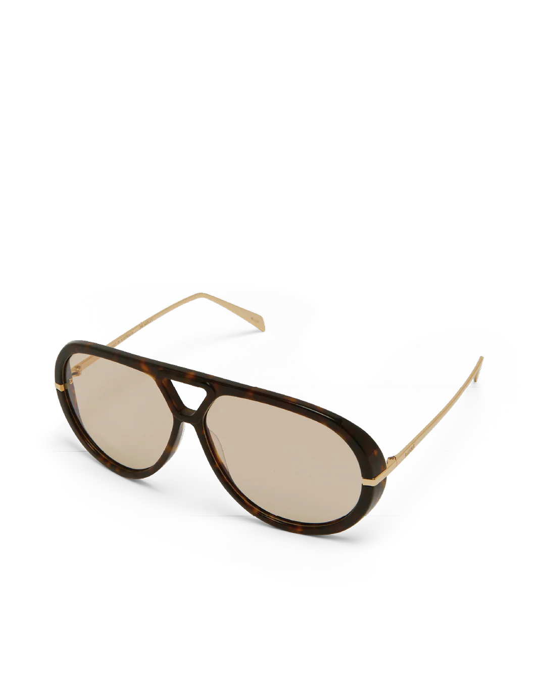 The Harley Banbe Eyewear Sunglasses