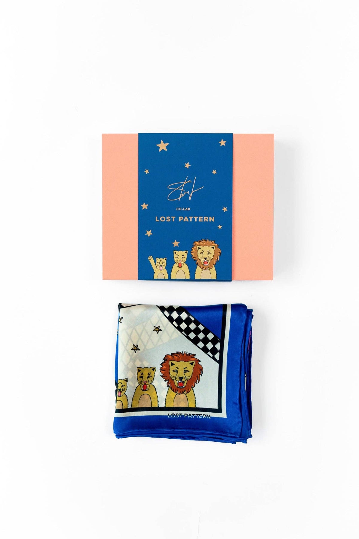 "Journey" Silk Scarf by SHANTALL LACAYO